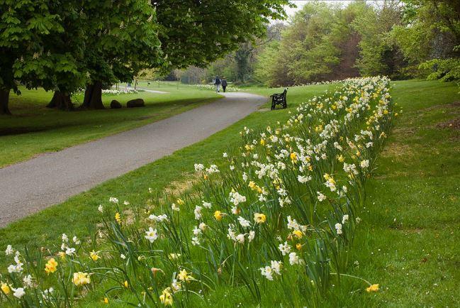 2.     Marlay Park, Rathfarnham, Dublin